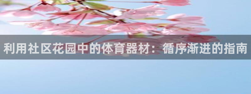 尊龙尊龙：利用社区花园中的体育器材：循序渐进的指南