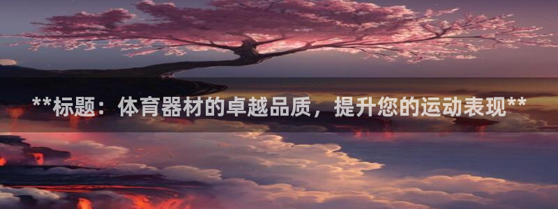 尊龙现在：**标题：体育器材的卓越品质，提升您的运动