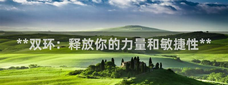 尊龙集团有限公司是国企吗：**双环：释放你的力量和敏