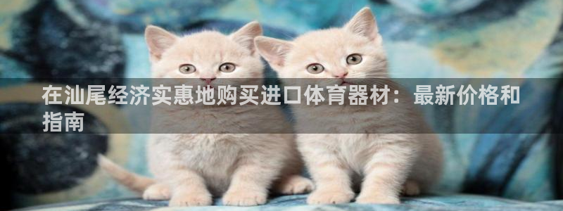 尊龙ag旗舰厅官网登录：在汕尾经济实惠地购买进口体育器材：最
