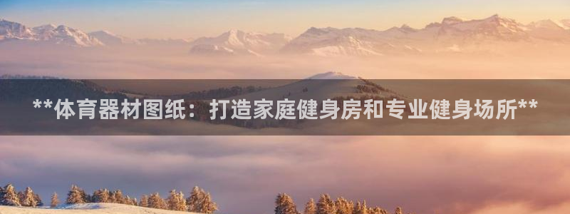 尊龙人生就是博官：**体育器材图纸：打造家庭健身房和