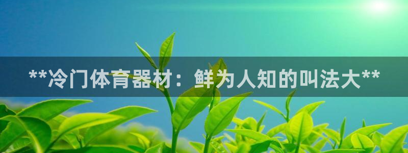 尊龙人生就是博一下下：**冷门体育器材：鲜为人知的叫