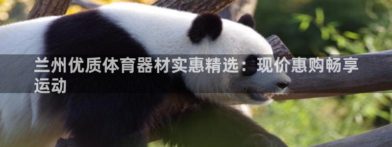 尊龙凯时能不能提现?：兰州优质体育器材实惠精选：现价