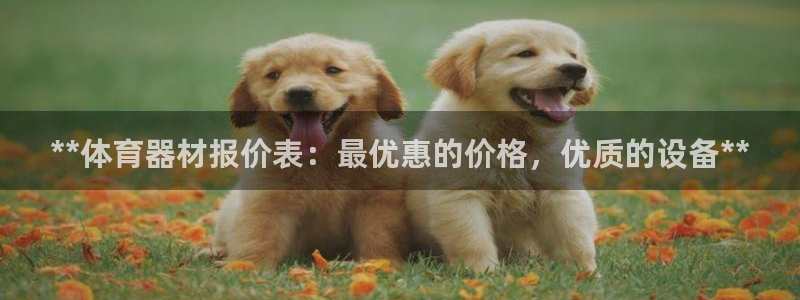 尊龙凯时出款：**体育器材报价表：最优惠的价格，优质