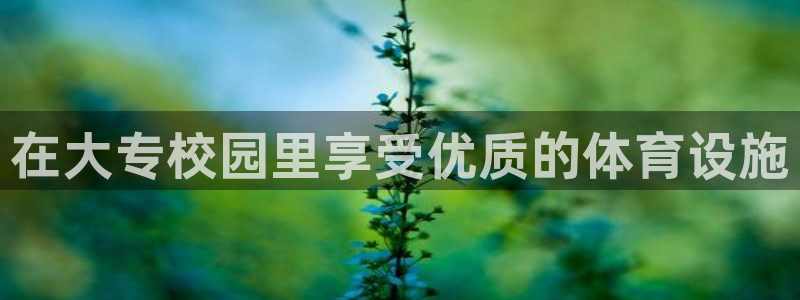 尊龙休闲e站怎么样：在大专校园里享受优质的体育设施