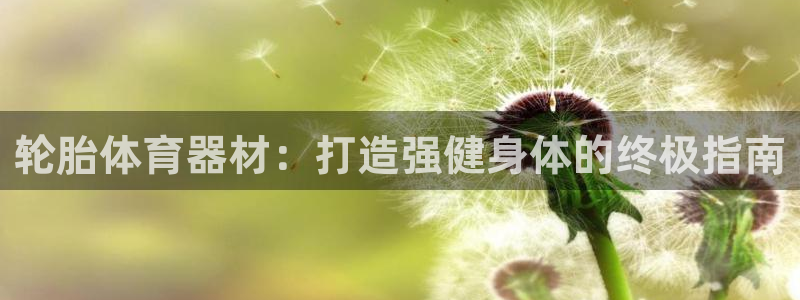 尊龙凯时老板是谁：轮胎体育器材：打造强健身体的终极指