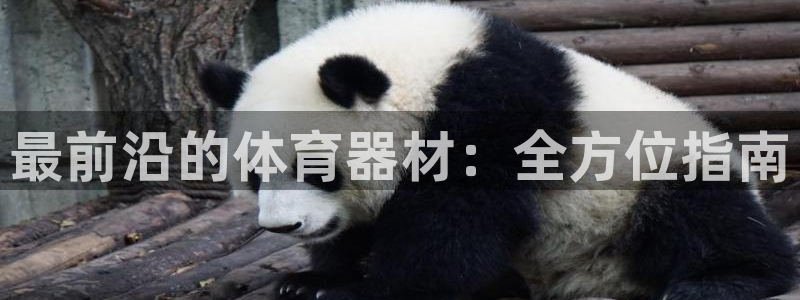 尊龙凯时 - 人生就是搏!：最前沿的体育器材：全方位