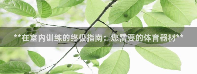 尊龙这个平台怎么样：**在室内训练的终极指南：您需要