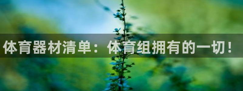 ag尊龙官方网站app：体育器材清单：体育组拥有的一