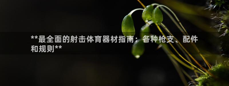 尊龙凯时老板：**最全面的射击体育器材指南：各种枪支