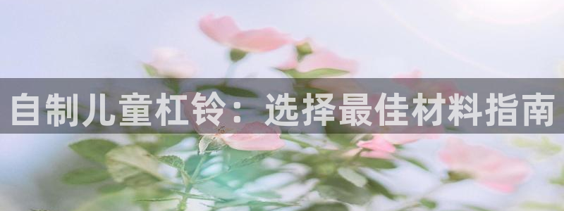 K66凯时国际平台官网：自制儿童杠铃：选择最佳材料指