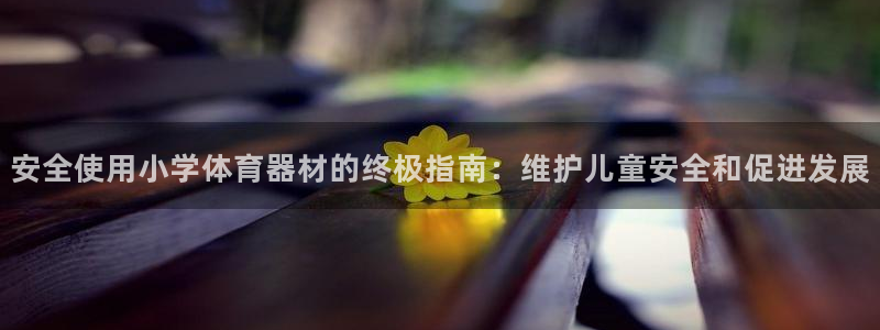 尊龙凯时人生就是搏z6com：安全使用小学体育器材的