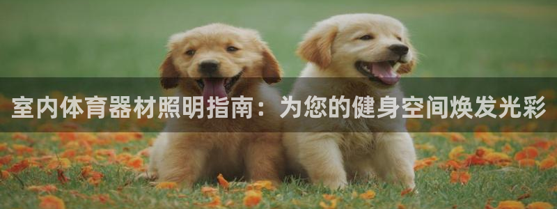 z6com尊龙凯时代理：室内体育器材照明指南：为您的