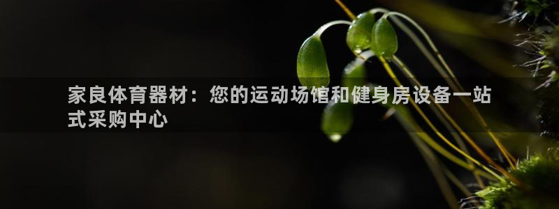 凯时k66登录：家良体育器材：您的运动场馆和健身房设