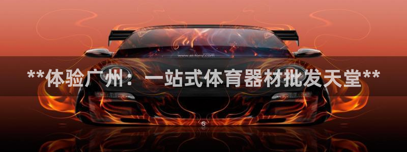尊龙凯时网站登录：**体验广州：一站式体育器材批发天