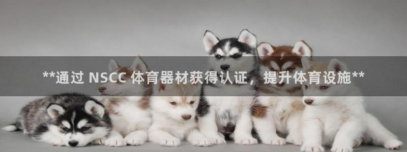 尊龙娱官网赢来就送38：**通过 NSCC 体育器材