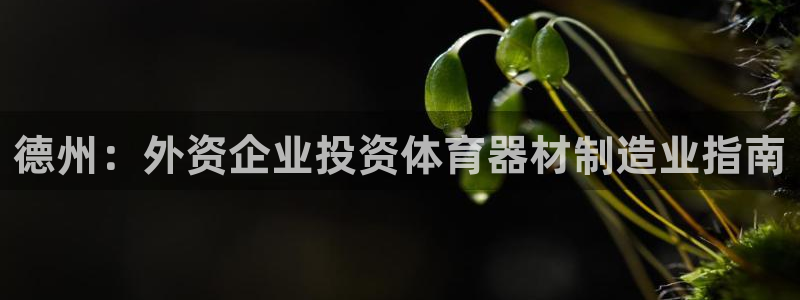 尊龙ag旗舰厅登录 租车app下载：德州：外资企业投