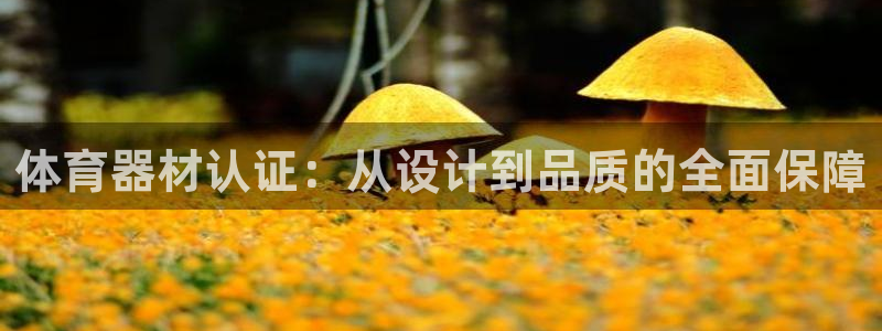 尊龙d88官网QU来就送38