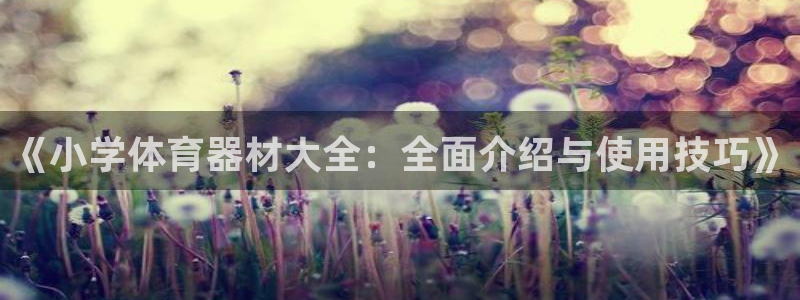 尊龙新版人生就是博!