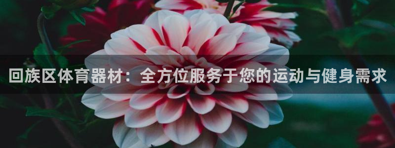 尊龙d88官网确来就送38：回族区体育器材：全方位服务于您的