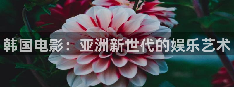 么么哒影院电视剧在线观看