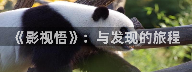 么么哒视频