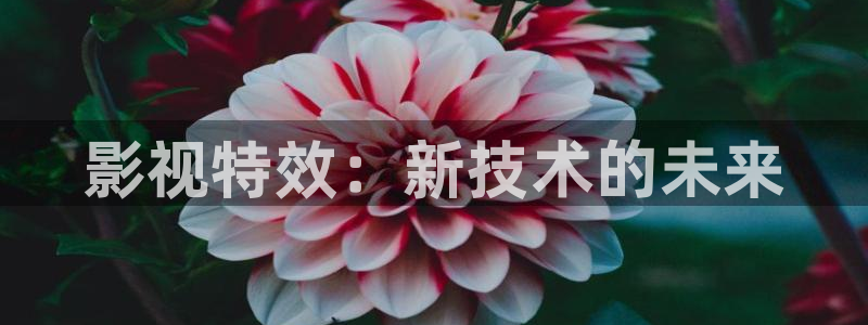 么么哒视频