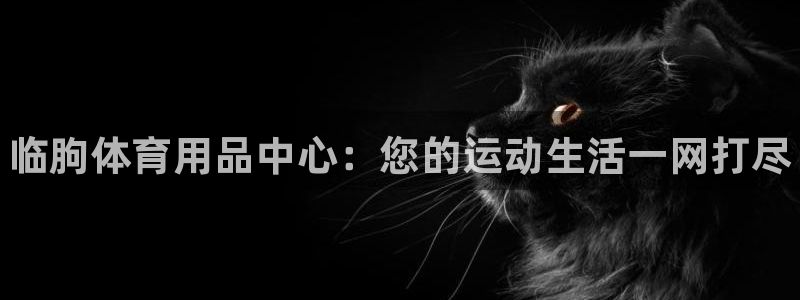 尊龙人生就是博电脑版