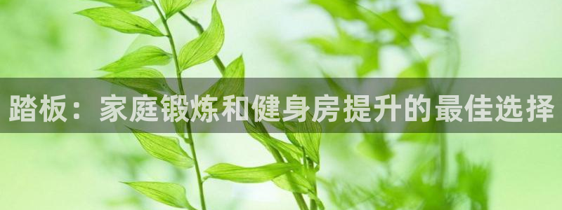 尊龙凯时邀请码：踏板：家庭锻炼和健身房提升的最佳选择