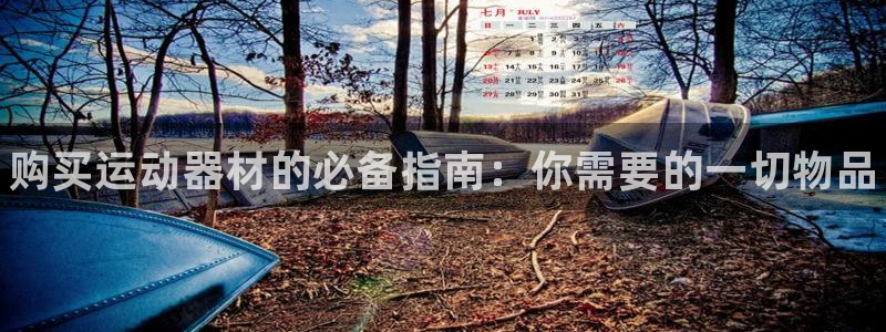 尊龙凯时是大平台吗：购买运动器材的必备指南：你需要的