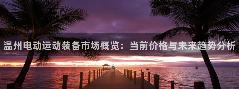 尊龙凯时泰安：温州电动运动装备市场概览：当前价格与未