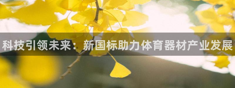 尊龙凯时取款不成功：科技引领未来：新国标助力体育器材产业发展