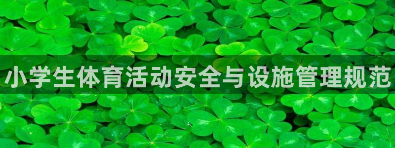 尊龙集团有限公司：小学生体育活动安全与设施管理规范