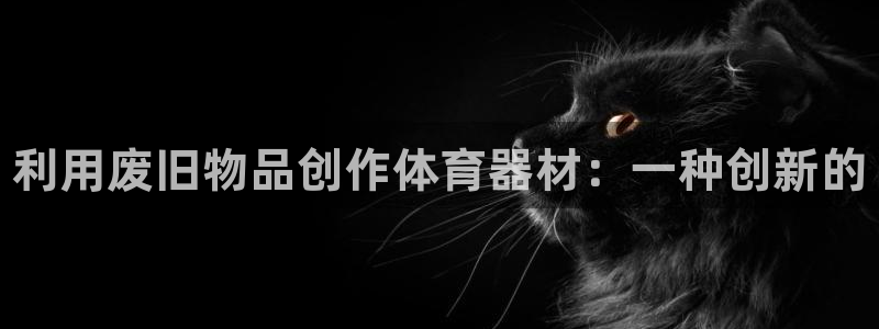 尊龙官网免费下载：利用废旧物品创作体育器材：一种创新